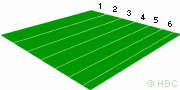 The green, divided into rinks